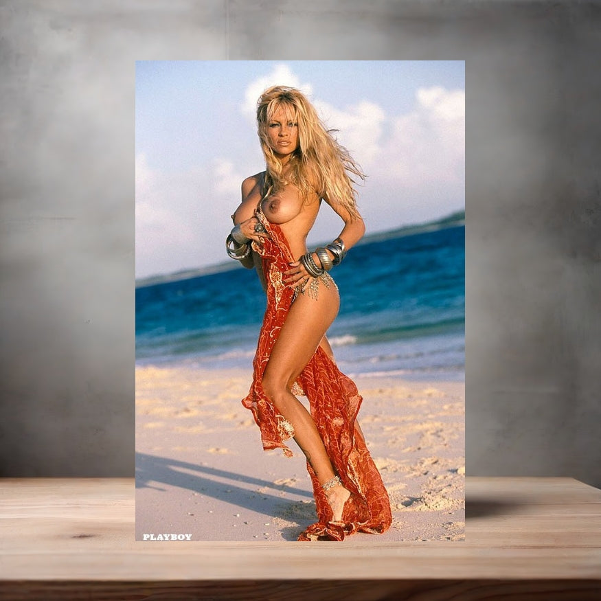 Playboy magazine metal poster. Multiple sizes available. Nude. Pamela Anderson