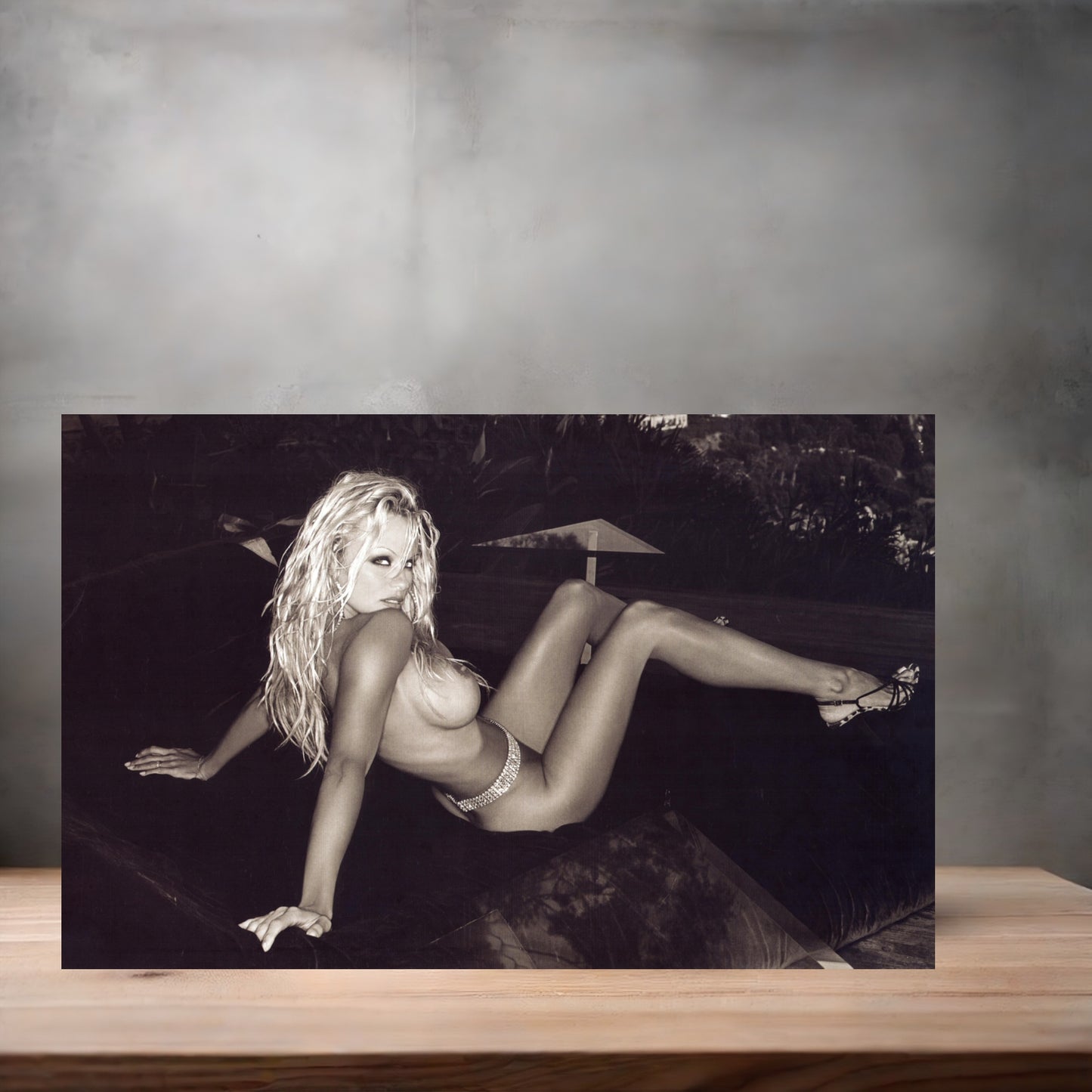 Pamela Anderson NSFW metal poster. Multiple sizes available. Beautiful and sexy E4
