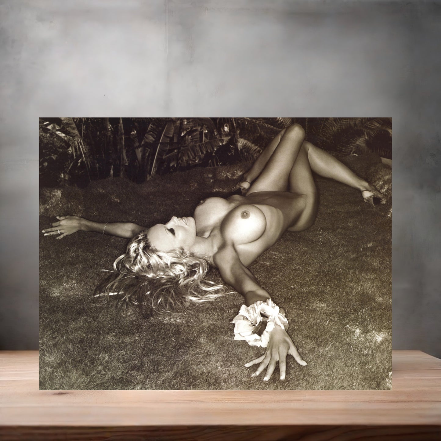 Pamela Anderson NSFW metal poster. Multiple sizes available. Beautiful and sexy E5