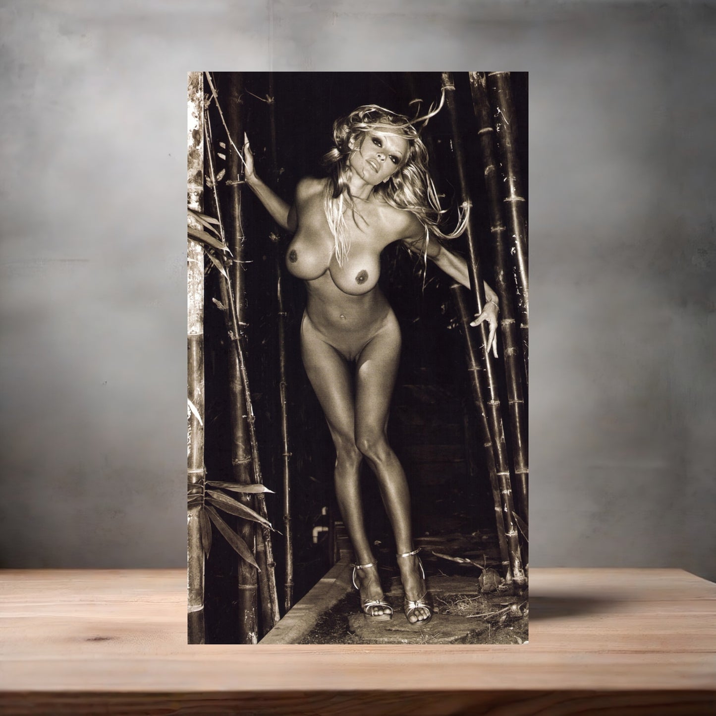 Pamela Anderson NSFW metal poster. Multiple sizes available. Beautiful and sexy E6