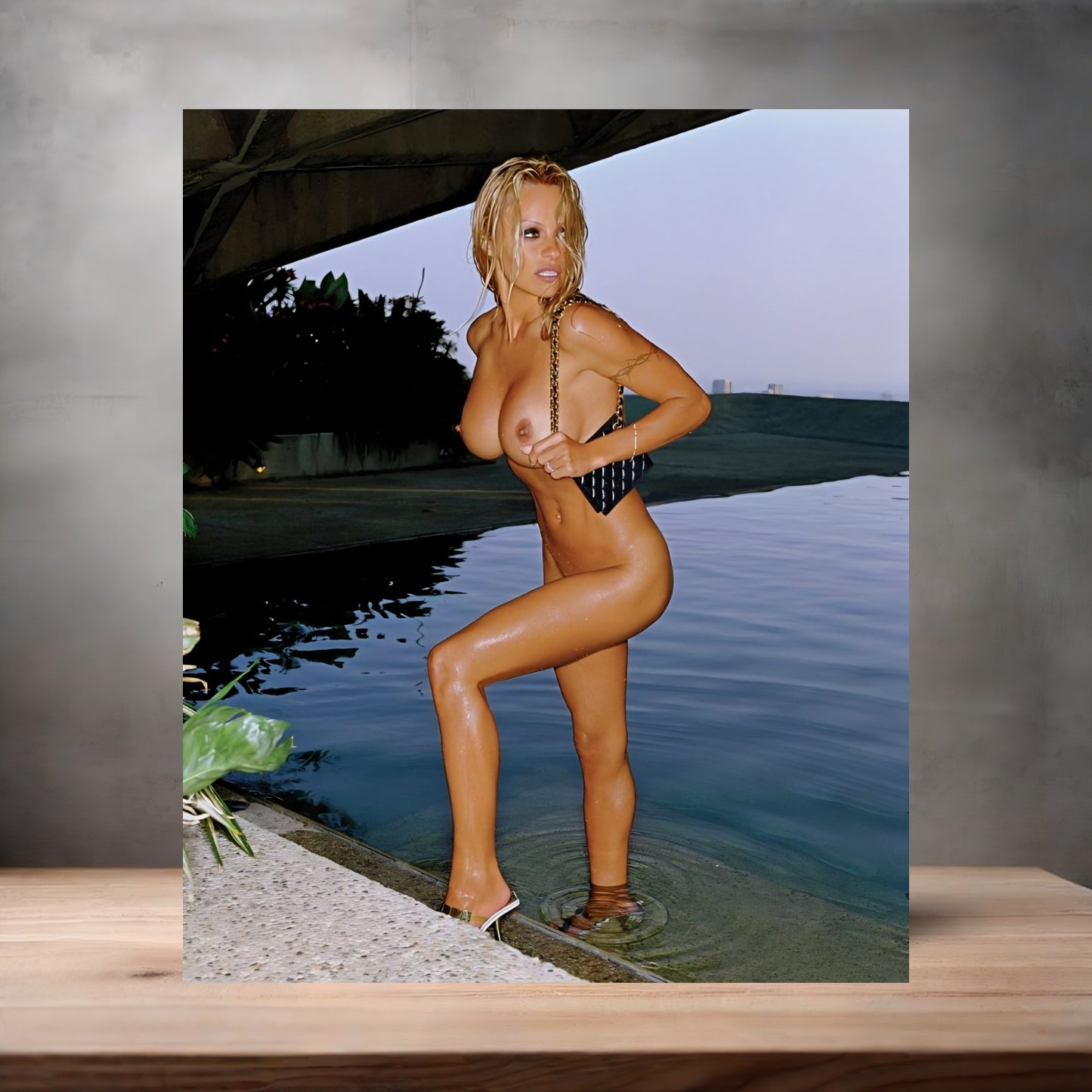 Pamela Anderson NSFW metal poster. Multiple sizes available. Beautiful and sexy K5