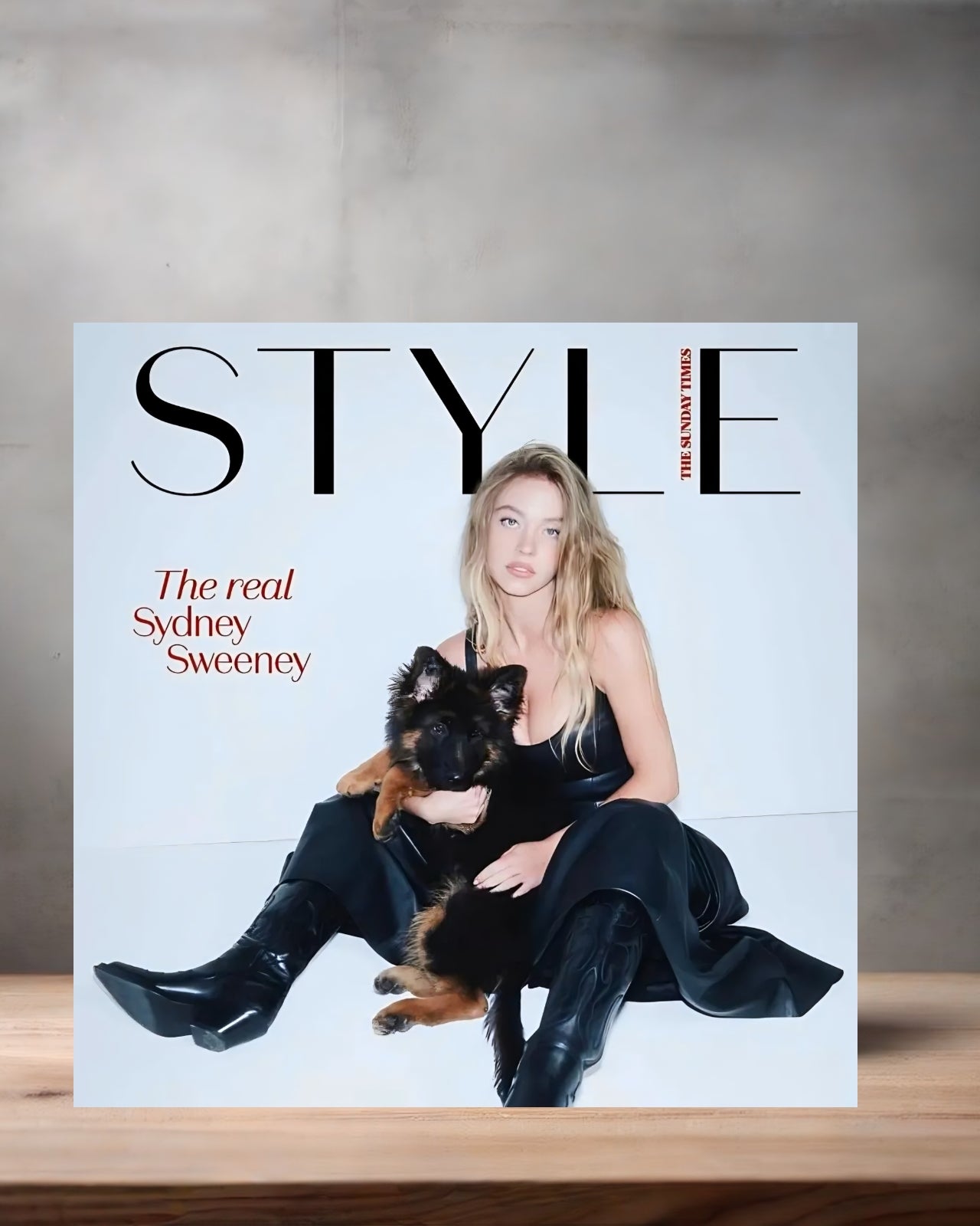 Sexy Sydney Sweeney metal poster. Multiple sizes available. Hot F4