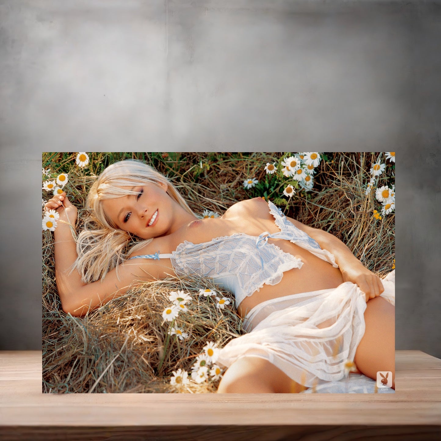Sara Jean Underwood NSFW poster with multiple size and finish options. Playboy B8