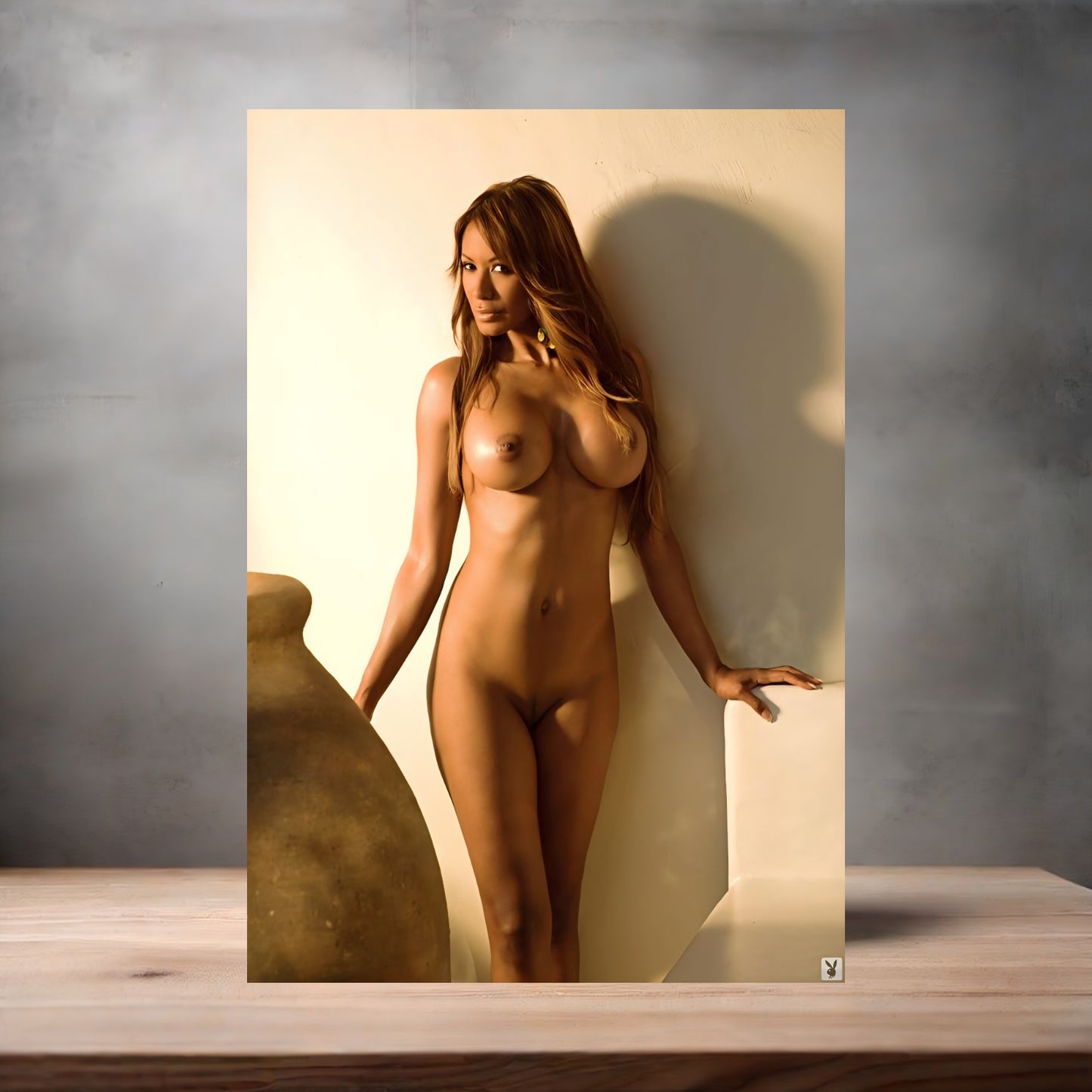 Traci Bingham NSFW poster with multiple size and finish options. Playboy B6