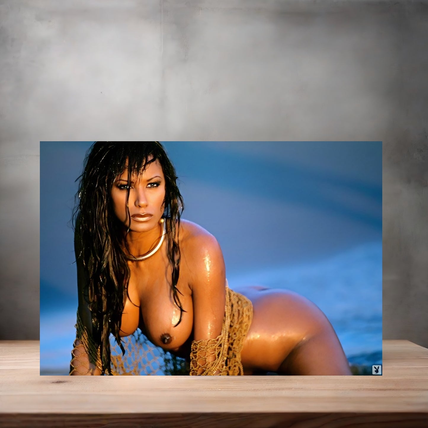 Traci Bingham NSFW poster with multiple size and finish options. Playboy A2