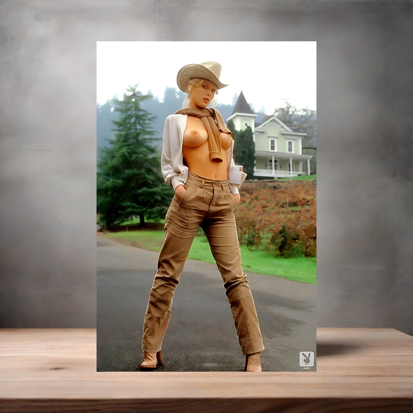 Dorothy Stratten NSFW poster with multiple size and finish options. Playboy Playmate B7