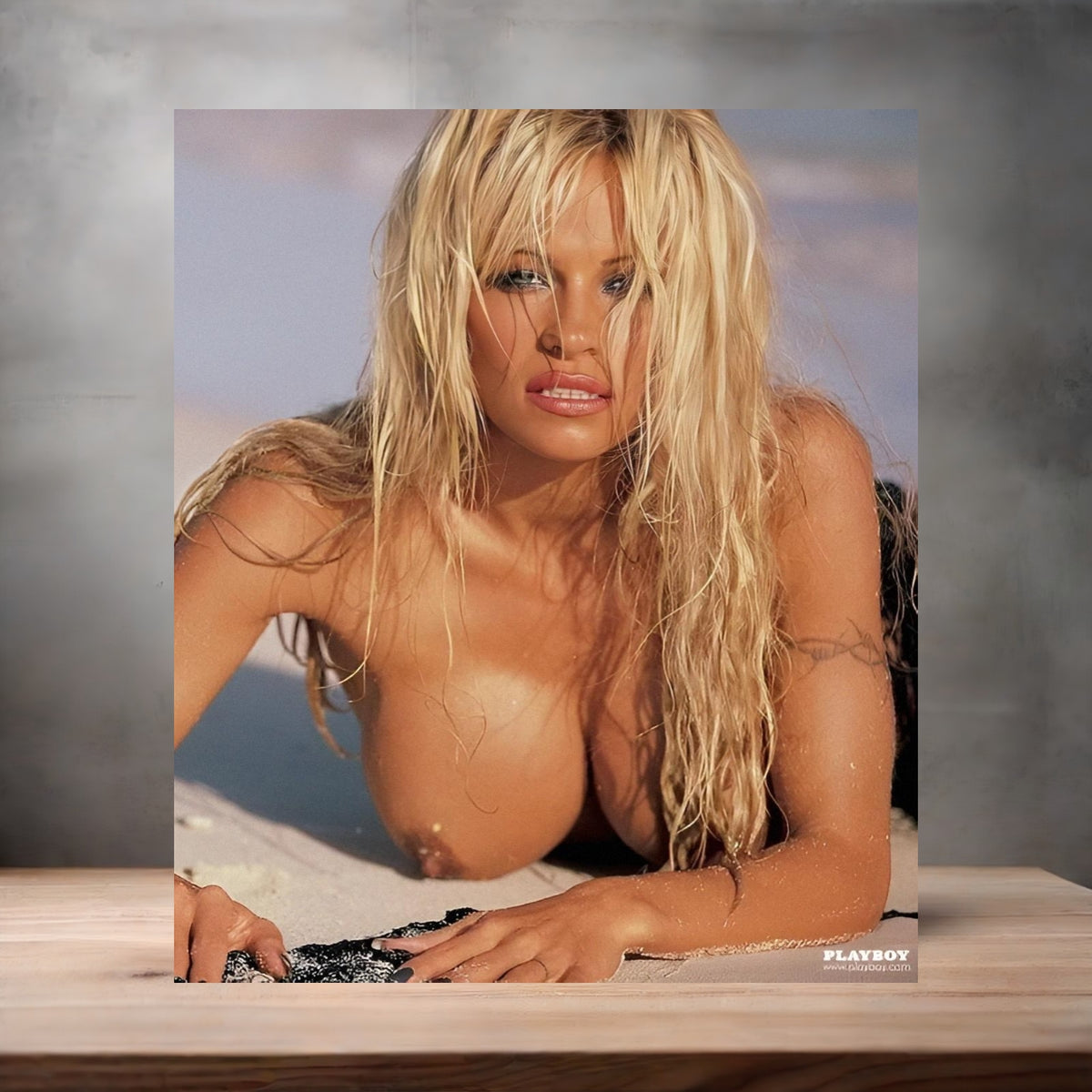 Pamela Anderson poster prints in multiple sizes and material. Playboy, NSFW v3