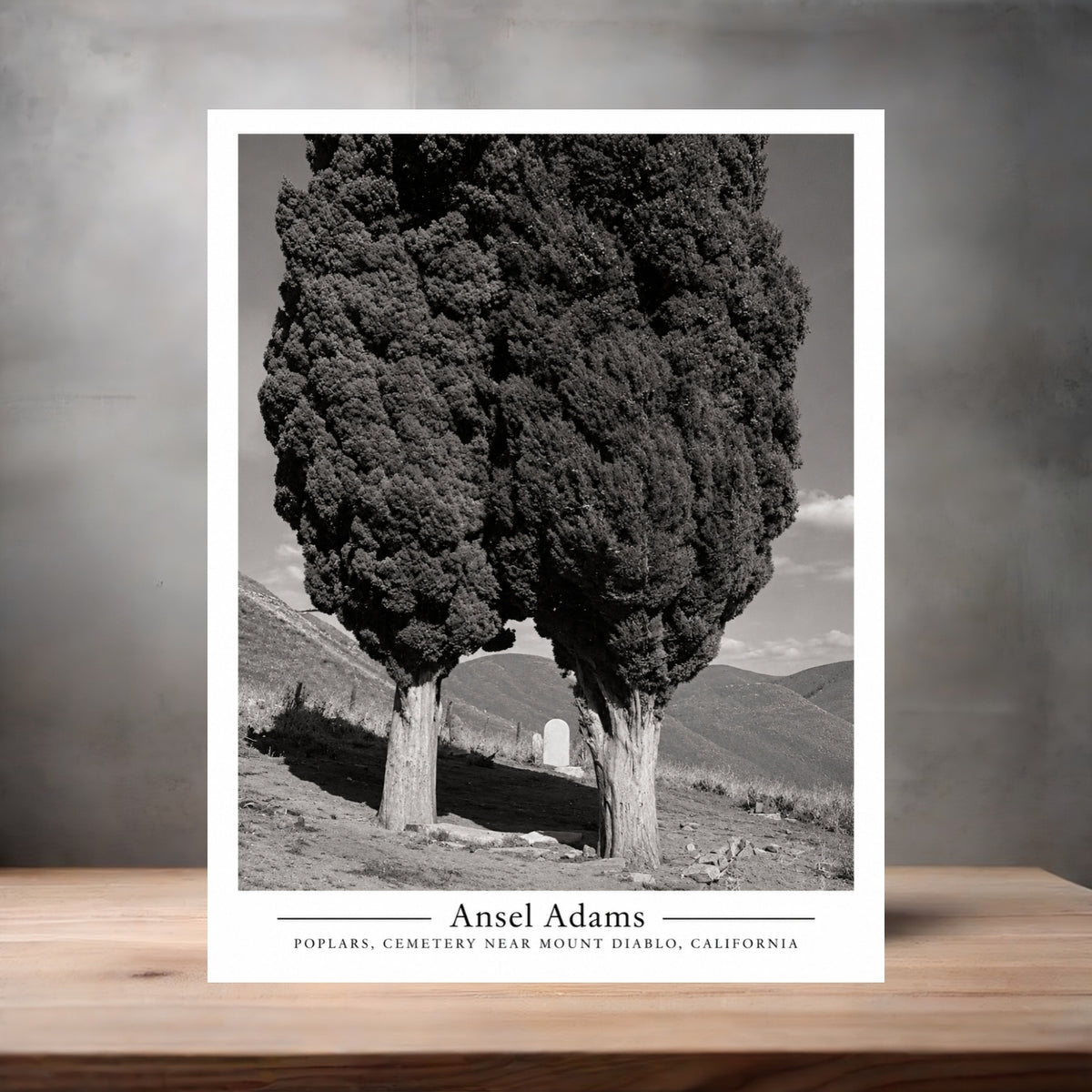 Ansel Adams 8.5" x 11" art print set of 2, glossy and matte. Poplars, Cemetery near Mount Diablo
