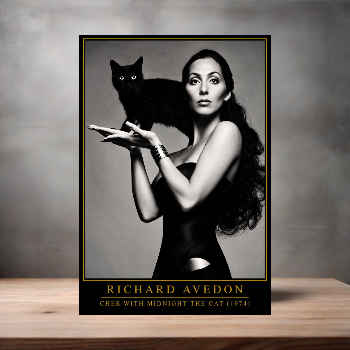 Richard Avedon 8.5" x 11" art print set of 2, glossy and matte. Cher v2