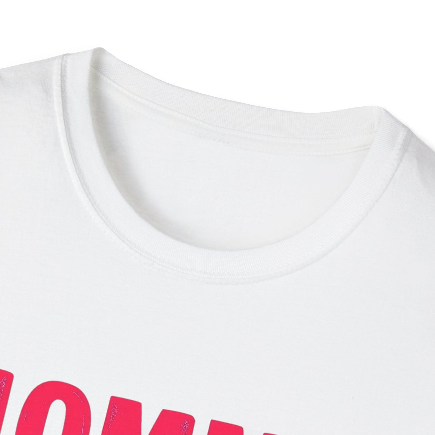 Funny Family Quote T-Shirt. Momma only raised one fool