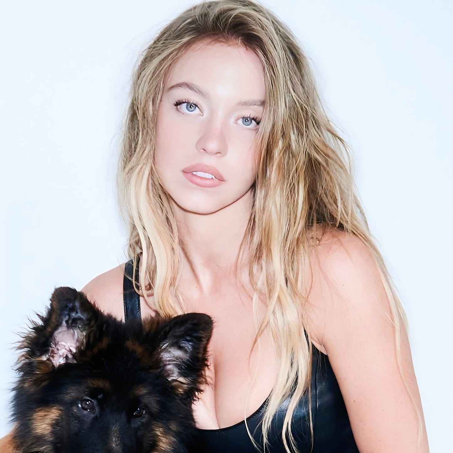 Sydney Sweeney 13" x 19" poster. Matte or Glossy, H5