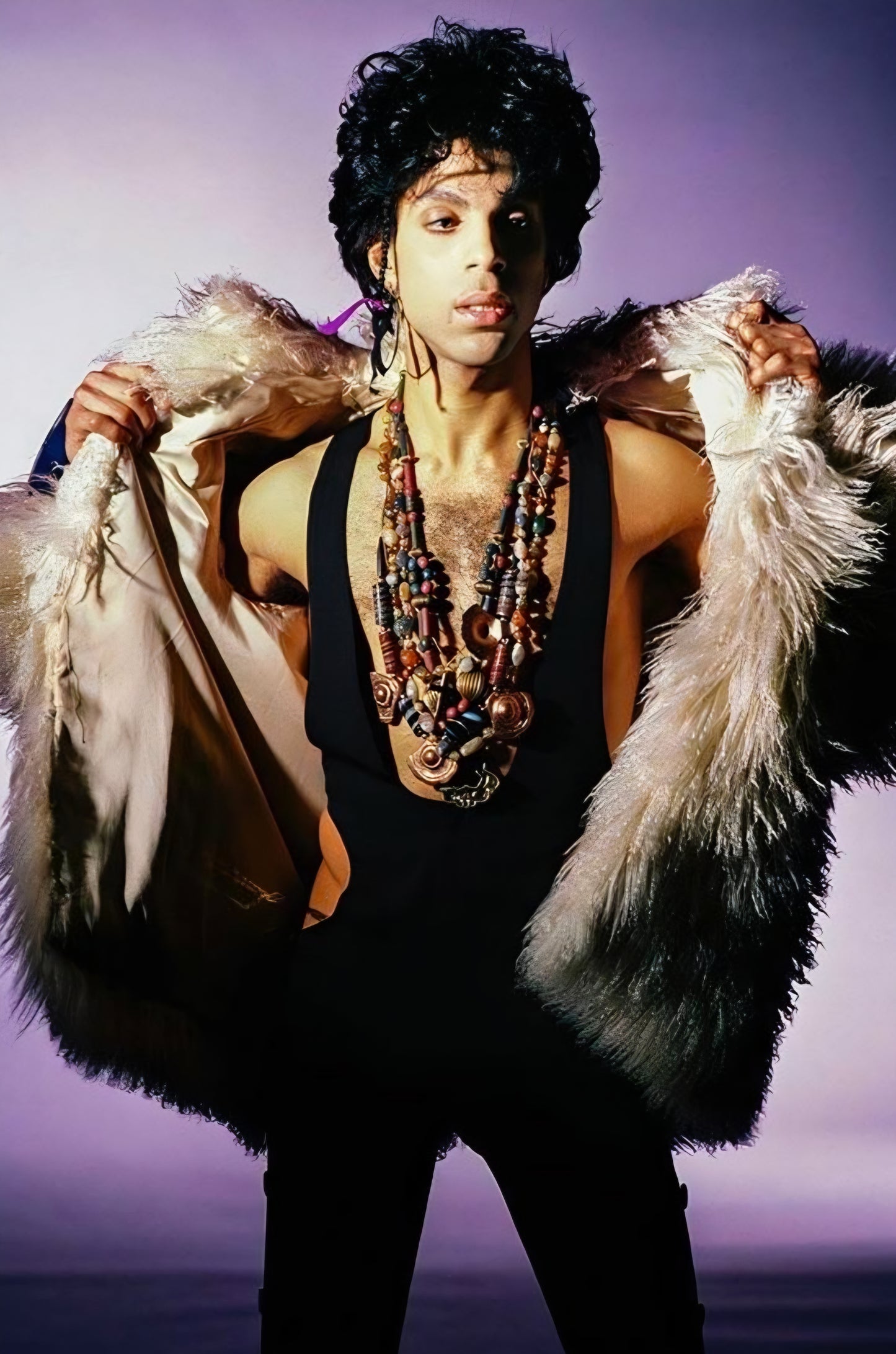 Prince poster with multiple size and finish options B8