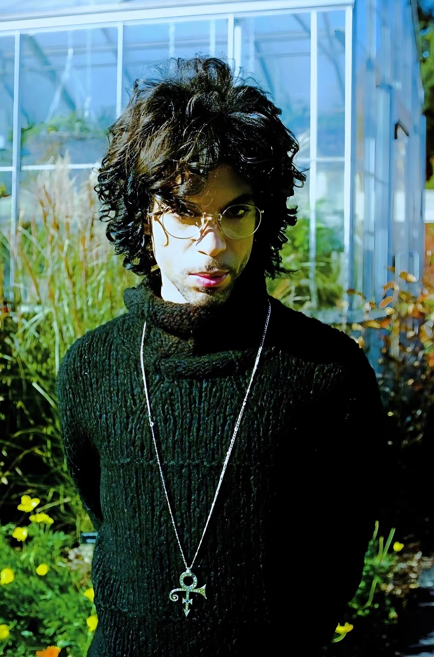 Prince poster with multiple size and finish options B6