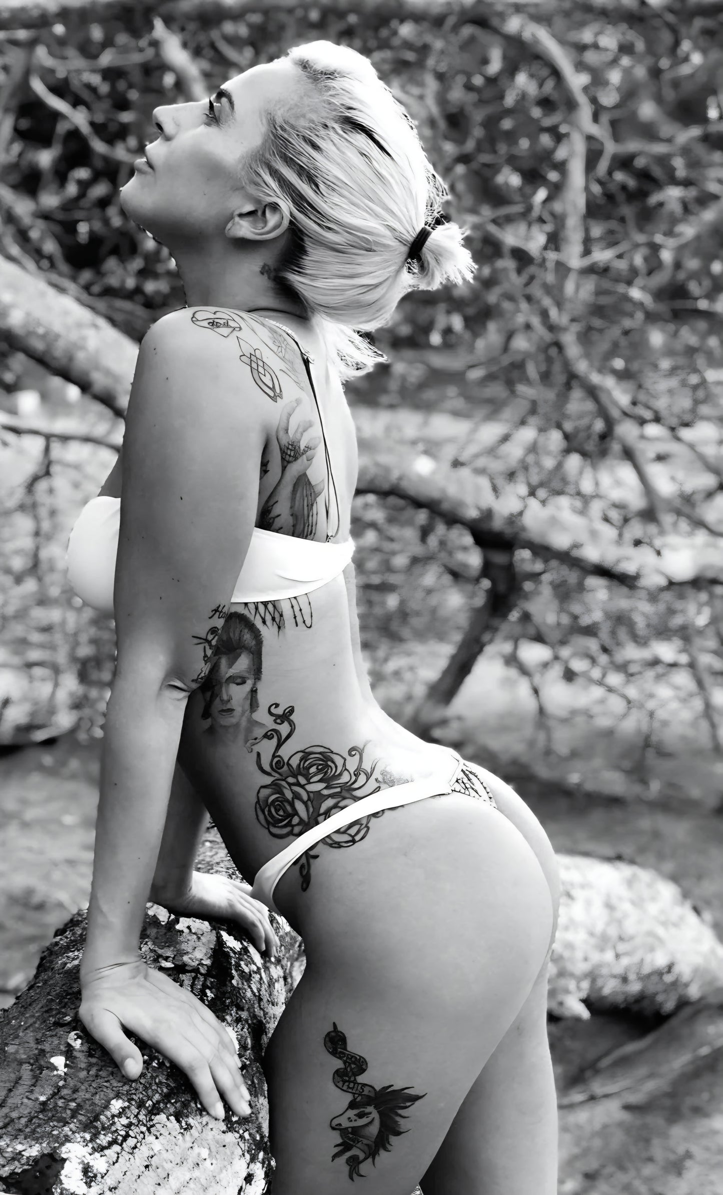 Lady Gaga 13" x 19" poster. Matte or Glossy, B1