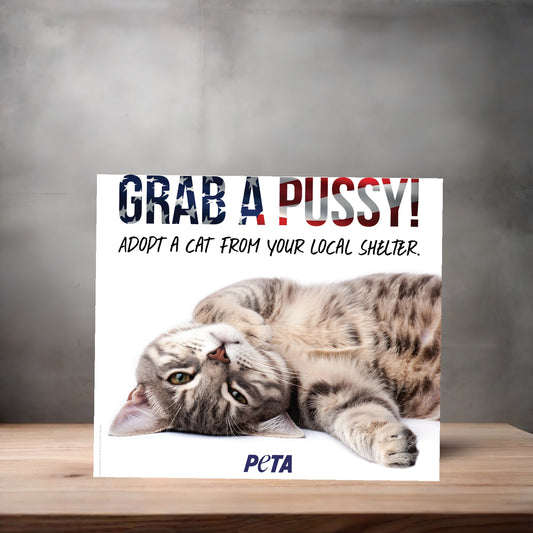 Peta Grab a pussy, adopt a cat poster on aluminum print. Multiple sizes available. Mature