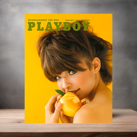 February 1966 Playboy magazine poster on aluminum print. Multiple sizes available