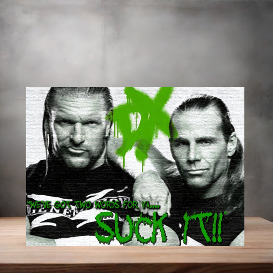 Triple H and Shawn Michaels, D-Generation X Suck It Wrestling poster on aluminum print. Multiple sizes available