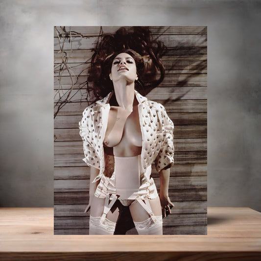 Sexy Eva Mendes poster on aluminum print. Multiple sizes available. V1
