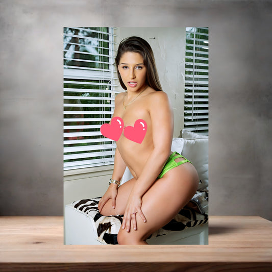 Abella Danger mature nude photo on aluminum print. Multiple sizes available v13