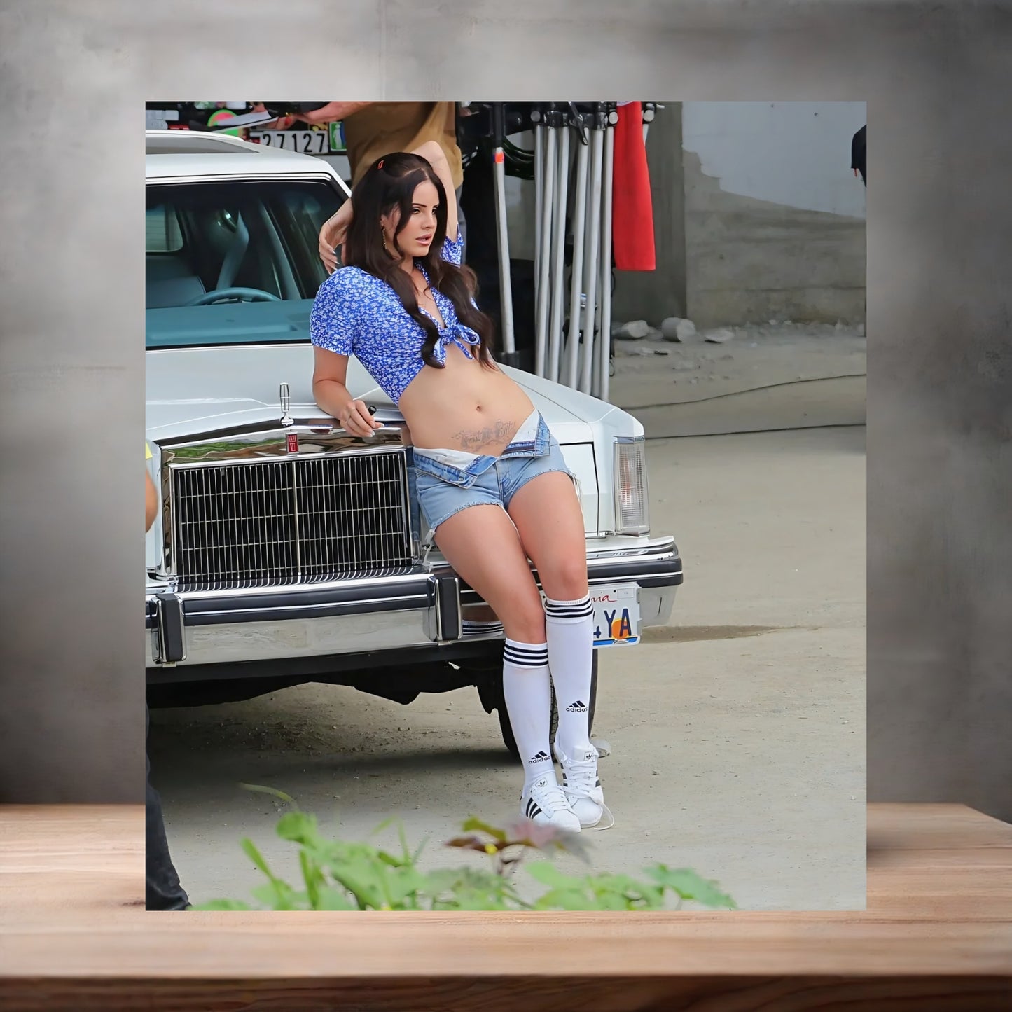 Lana Del Rey metal poster. Multiple sizes available. Sexy v3