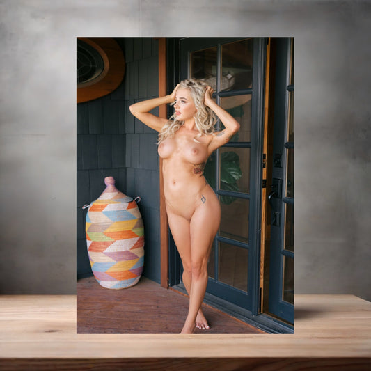Playboy Playmate metal poster. Multiple sizes available. Nude. Katy Belle v3