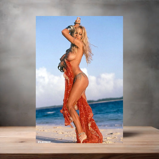 Playboy magazine metal poster. Multiple sizes available. Nude. Pamela Anderson v2