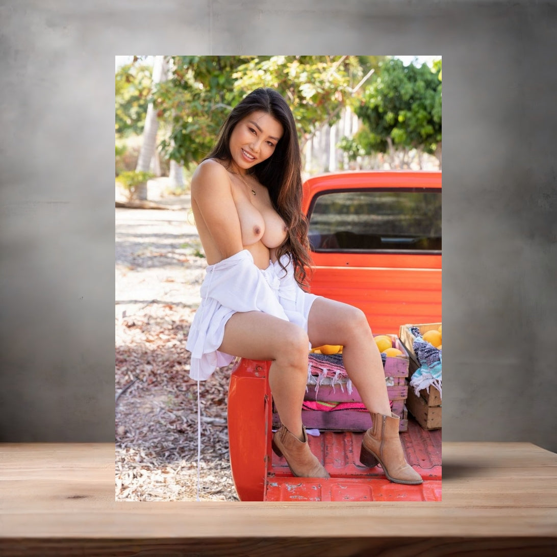 Playboy model Viviane Leigh metal posters. Multiple sizes and prints available
