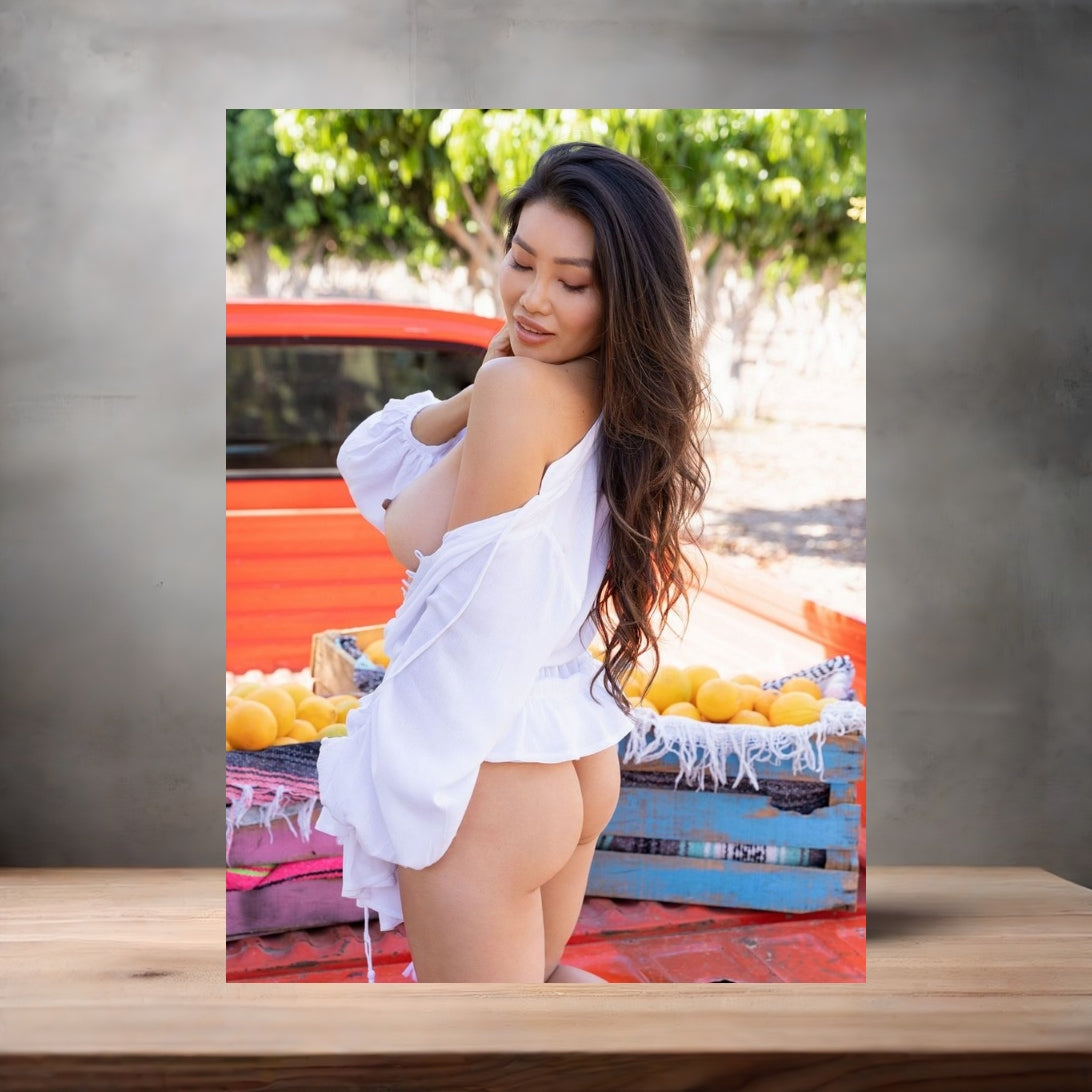 Playboy model Viviane Leigh metal posters. Multiple sizes and prints available