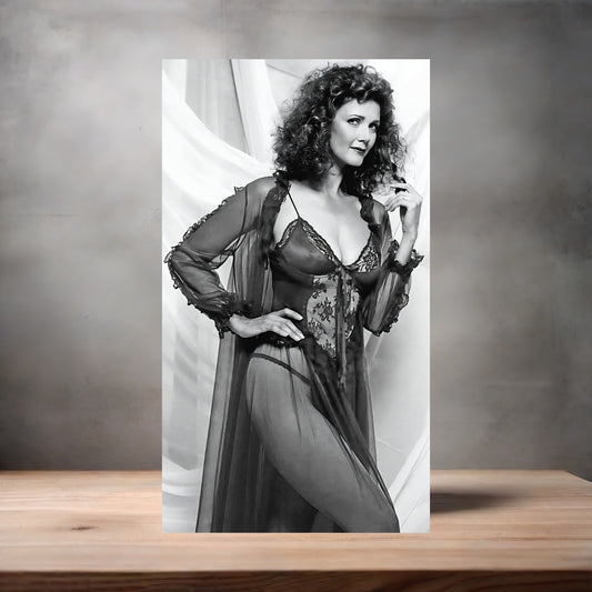 Lynda Carter, Wonder Woman metal poster. Multiple sizes available. Sexy v7