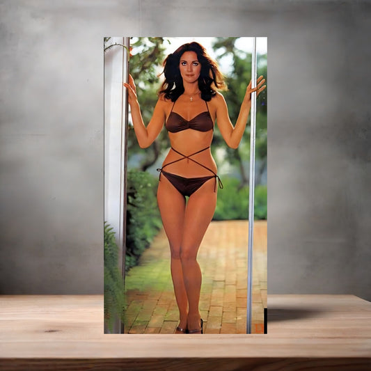 Lynda Carter, Wonder Woman metal poster. Multiple sizes available. Sexy v4