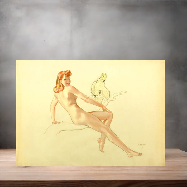 Alberto Vargas sexy pinup metal posters. Multiple sizes and photos. Playboy v4