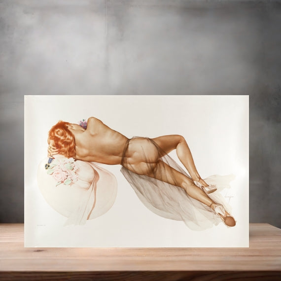 Alberto Vargas sexy pinup metal posters. Multiple sizes and photos. Playboy v3