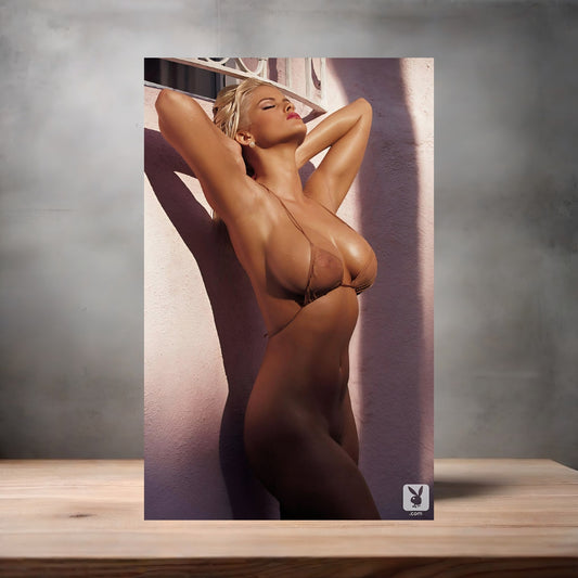 Anna Nicole Smith metal poster. Multiple sizes available. Beautiful and sexy