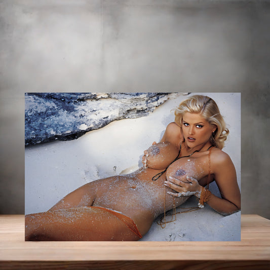 Anna Nicole Smith metal poster. Multiple sizes available. Beautiful and sexy F