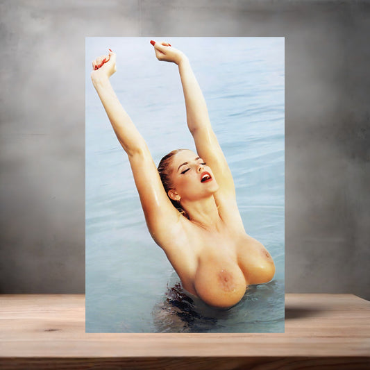 Anna Nicole Smith metal poster. Multiple sizes available. Beautiful and sexy V