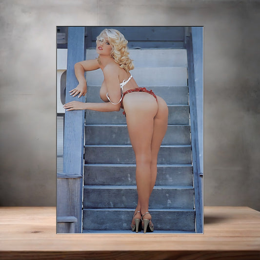 Anna Nicole Smith metal poster. Multiple sizes available. Beautiful and sexy T