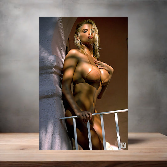 Anna Nicole Smith metal poster. Multiple sizes available. Beautiful and sexy K