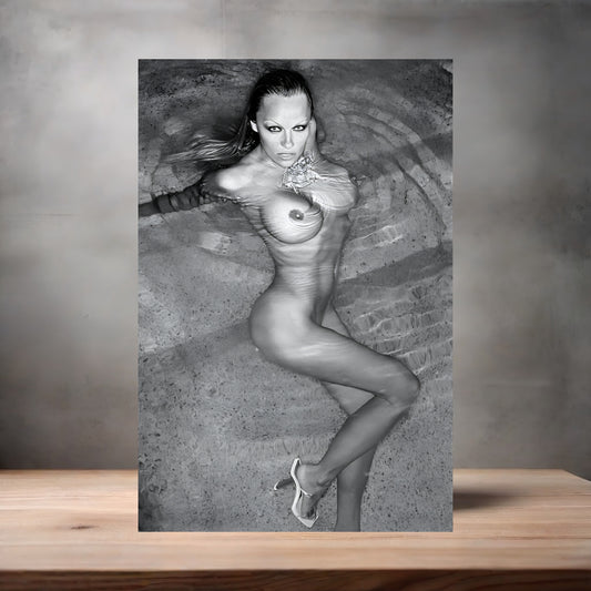 Pamela Anderson NSFW metal poster. Multiple sizes available. Beautiful and sexy B5