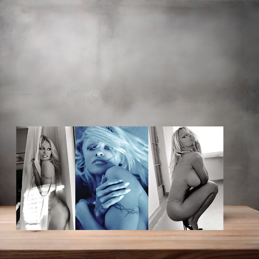 Pamela Anderson NSFW metal poster. Multiple sizes available. Beautiful and sexy D5