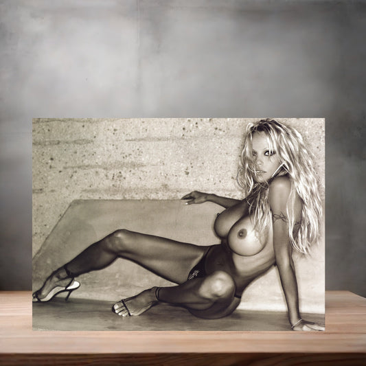 Pamela Anderson NSFW metal poster. Multiple sizes available. Beautiful and sexy C1