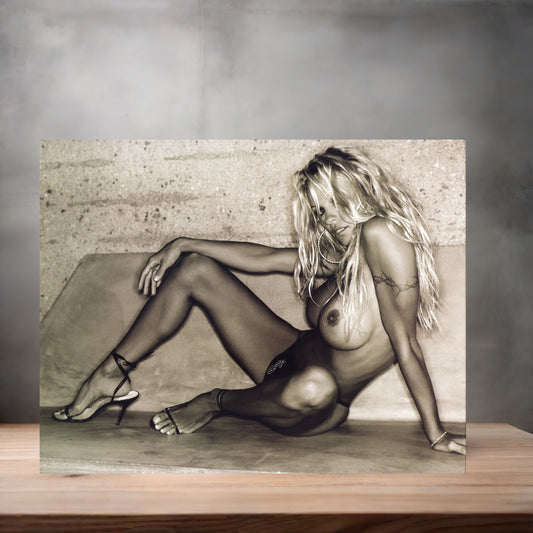Pamela Anderson NSFW metal poster. Multiple sizes available. Beautiful and sexy D2
