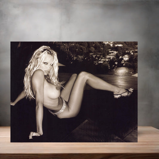 Pamela Anderson NSFW metal poster. Multiple sizes available. Beautiful and sexy D3