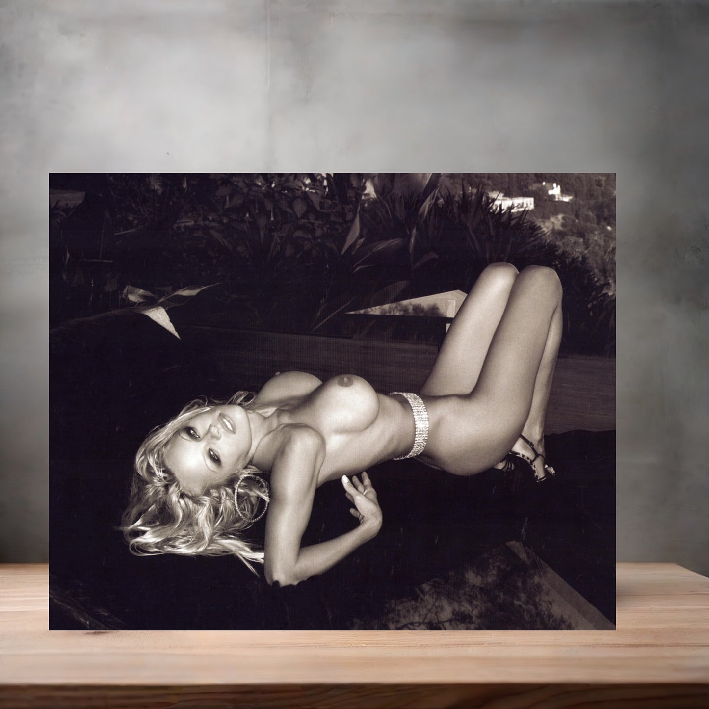 Pamela Anderson NSFW metal poster. Multiple sizes available. Beautiful and sexy D4