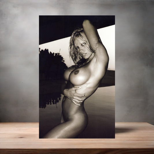Pamela Anderson NSFW metal poster. Multiple sizes available. Beautiful and sexy F5