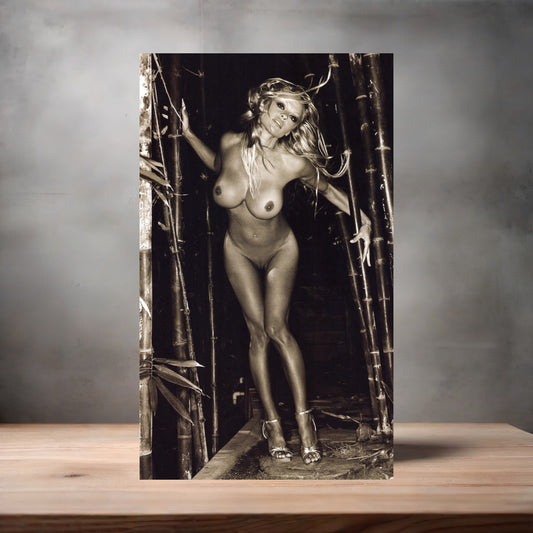 Pamela Anderson NSFW metal poster. Multiple sizes available. Beautiful and sexy E6