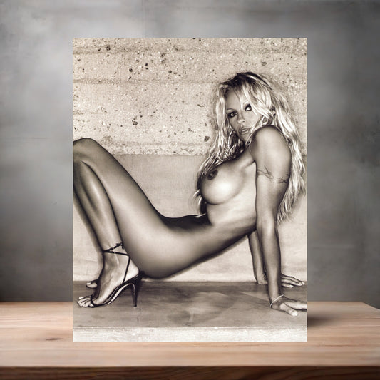 Pamela Anderson NSFW metal poster. Multiple sizes available. Beautiful and sexy F2