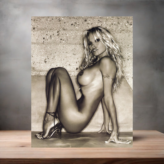 Pamela Anderson NSFW metal poster. Multiple sizes available. Beautiful and sexy E2