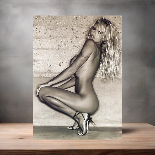 Pamela Anderson NSFW metal poster. Multiple sizes available. Beautiful and sexy F4