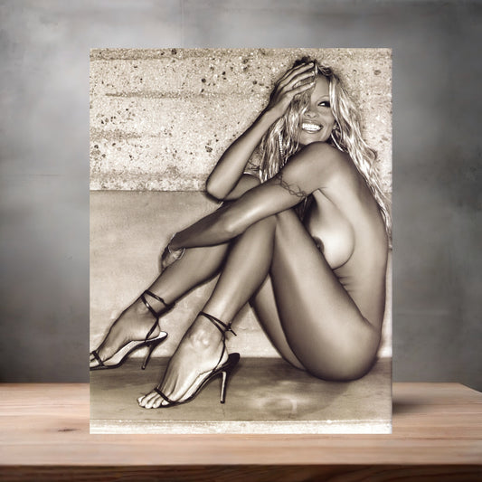 Pamela Anderson NSFW metal poster. Multiple sizes available. Beautiful and sexy F1