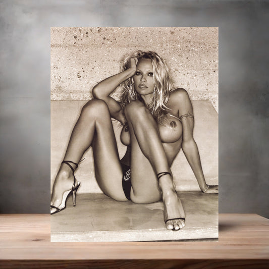 Pamela Anderson NSFW metal poster. Multiple sizes available. Beautiful and sexy G2